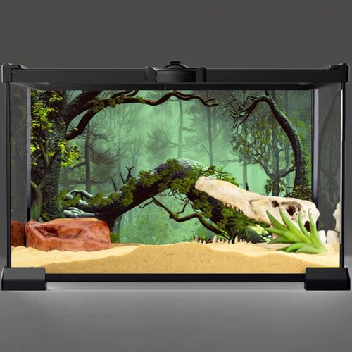 72x24 inches Reptile Habitat Background Foggy Forest Terrarium Backdrop | AWERT Tropical Rainforest Stone Green Tree Aquarium Background, Durable Polyester - size: 72x24in/180x60cm