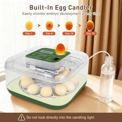 Series IV - 12 Egg Fully Automatic Incubator, Low Maintenance, Intelligent Sensor-Based Precise Humidity & Temp Control, Custom-Interval Auto Turn & Auto Stop, Preset Incubation Days, Candler, Alarms - size: New 12-Egg Green