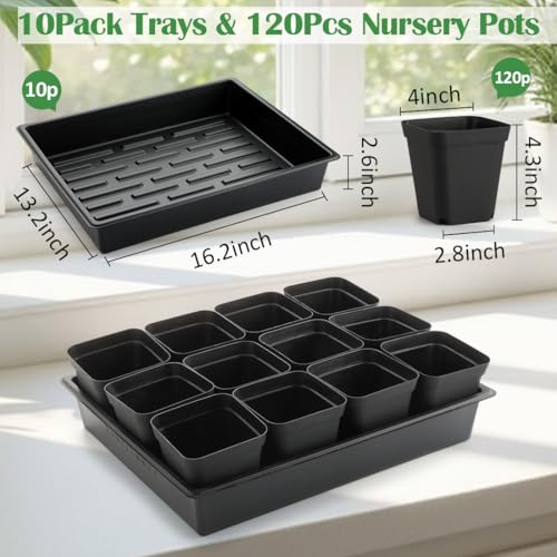 RooTrimmer 4 inch (10CM) Square Nursery Pots 120pcs, Sturdy Seedlings Trays 10 Pcs, Seeds Starter Germination Tray, Microgreening Planter Nursery Propagation 10 Sets - size: 4" Pots-120P + 16.2" x 13.2" x 2.6" Trays-10P