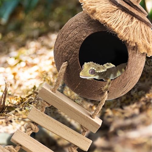 Gecko Coconut Hideout with Ladder,Reptile Hammock Plants Vines Jungle Terrarium Decor Tank Accessories for Crested Geckos,Leopard Geckos,Lizard,Snakes,Tree Frogs - style: 【Style D】