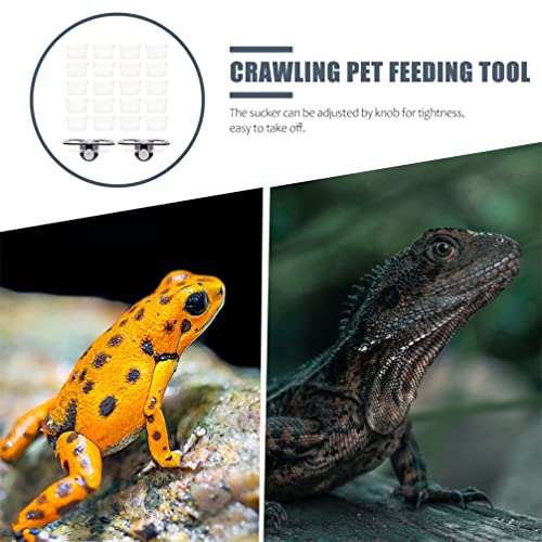 Mipcase Suction Cup Reptile Feeder Reptile Ledge with 20 Cups Double Grid Feeding Food Water Bowl Worm Dish Gecko Feeder Bowl Ledge for Lizard Bearded Dragon 1 Set Gecko Food s