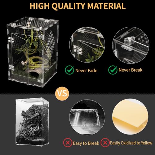 Acrylic Reptile Terrarium Easy Assembly, 360° Clear & Keep Pet Secure Design for Jumping Spiders, Tarantulas, Geckos Scratch-Resistant Large Ventilated Habitat Terrarium for Arachnids 11.8*7.9*7.9in - size: Large-11.8*7.9*7.9in