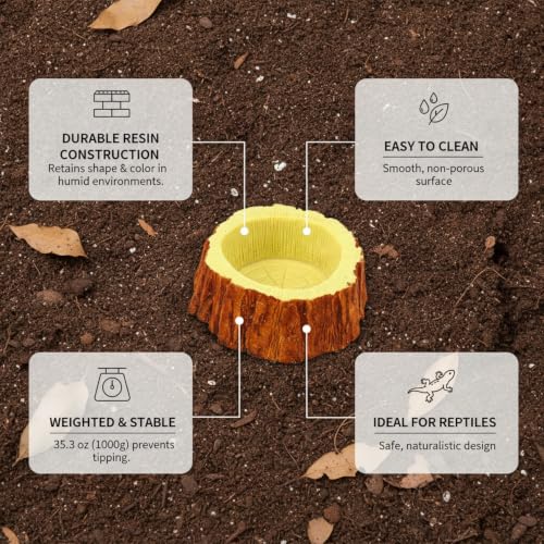 Resin Feeding Bowl, Weighted Water Dish for Reptile Terrariums, Stable Food Station for Small Animals (1 PC)