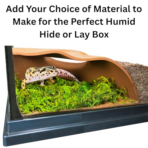 Reptile Corner Underground Cave Natural Curve Viewing Hide | Hognose Snake, Corn Snake & Leopard Gecko Hideout Reptile Habitat Tank Enrichment | Decor Decoration Accessories Supplies Toys Ornaments