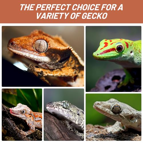 Crested Gecko Food, Fruit Mix Apricot Complete Diet Gecko Food 2oz