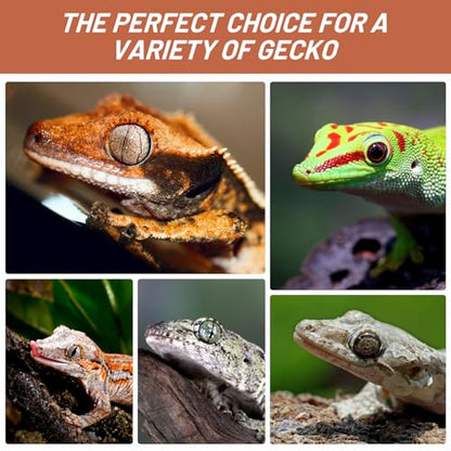 Crested Gecko Food, Fruit Mix Apricot Complete Diet Gecko Food 2oz