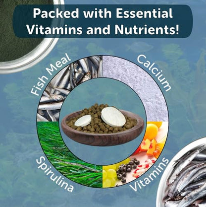 Calcium Blocks Included in Aquatic Frog 4mm Sinking 40% Protein Nuggets. Ideal for All Frogs and Bottom Tropical Fish…10oz Jar - size: 10 Ounce (Pack of 1)