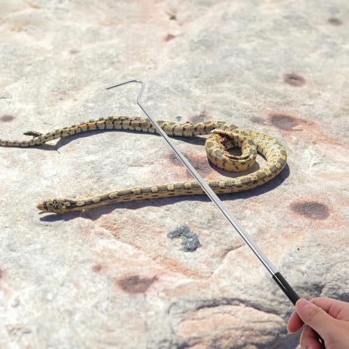 KALLORY Retractable Stainless Steel Snake Hook with Long Handle, Telescopic Reptile Catching Tool for Safe Snake Handling and Catching in Pet Care