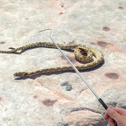 TOYANDONA Professional Retractable Snake Hook Stainless Steel Telescopic Reptile Catcher with Handle Adjustable Extension Tool for Safe Snake Handling and Reptile Care