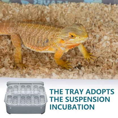 Clear Incubator Transparent Floating Design 12 Grids Reusable | Snake Incubation Box 12 Grids Transparent Floating Design Reusable Clear Incubator Box Incubation for Frog Snake Lizard