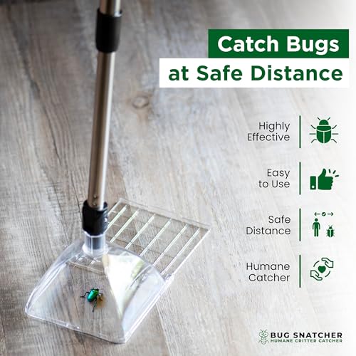 Bug Catcher Container & Extendable Stainless Steel Stick | See-Through Insect Trap for Spiders, Ants, Lizards | Humane Bug Catcher for Home | Educational Tool for Kids & Adults