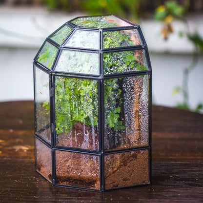 NCYP Half Dome Geometric Glass Terrarium with Door, Closed Moss Planter Pot, Miniature Landscape Container, Indoor Tabletop Decor, Black (Terrarim Only)