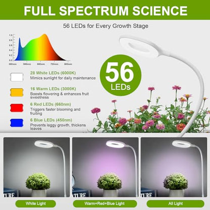 Clip On Full Spectrum LED Grow Light for Indoor Plants | Remote Control, 4/8/12H Auto Timer, 3 Lighting Modes, 10 Brightness Levels, Adjustable Gooseneck, For Small Plants