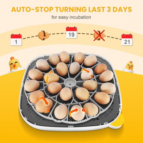 Sailnovo 24 Eggs Incubator, 4 Modes, Temp Control & Humidity Display, Grey | 3 Preset Modes, Built-in Candler, 360 View Window, Humidity Alarm, Easy Clean, Chicken Duck Quail eggs, Home Classroom Farm - color: Grey, size: 24 Eggs