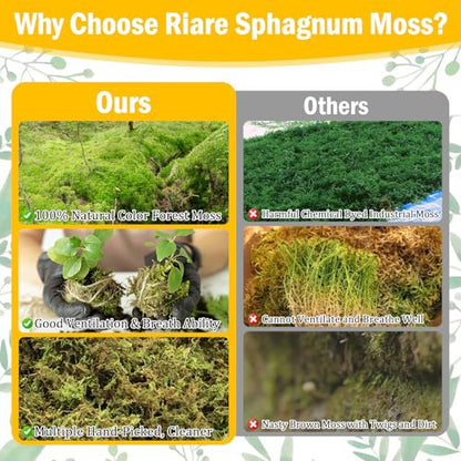 Riare 1.3LB Premium Sphagnum Moss for Plants- 25QT Natural Dried Plant Moss | Moisture Retention & Drainage Orchid Moss for Repotting, Succulents, Carnivorous, Ferns, Green Moss for DIY Craft, Reptiles - size: 25 QT(Appx.1.3lbs)