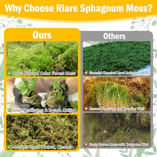 Riare 1.3LB Premium Sphagnum Moss for Plants- 25QT Natural Dried Plant Moss | Moisture Retention & Drainage Orchid Moss for Repotting, Succulents, Carnivorous, Ferns, Green Moss for DIY Craft, Reptiles - size: 25 QT(Appx.1.3lbs)