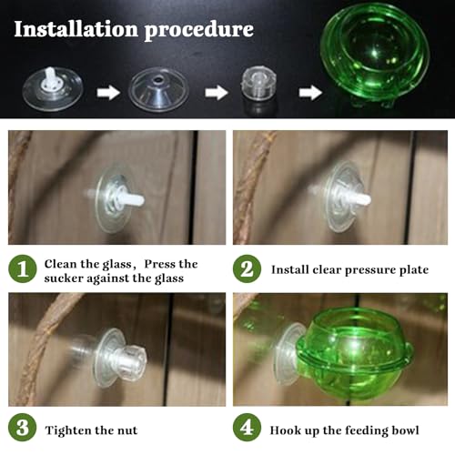 PINVNBY Reptile Bowl with Suction Cup,Chameleon Feeding Bowl,Gecko Food and Water Feeding Dish Pet Feeder Supplies Accessories for Lizards,Snakes,Bearded and Dragons(4 Pcs) - size: 【4 PCS】