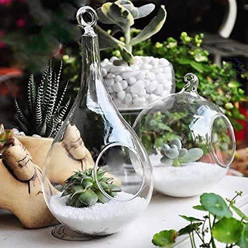 Mkono Hanging Glass Terrarium, 2 Pack Air Plant Holder Globe Hanger Planter