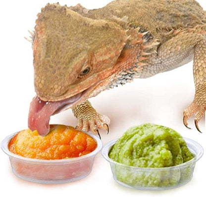 SunGrow Reusable Gecko Food & Water Cups, 50 Pcs, 0.5 Oz Recyclable Plastic Bowls, Fits Small Stands & Feeders, Durable & Easy to Clean, Ideal for Reptiles - in Resealable Bag