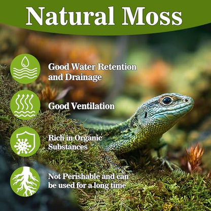 Sukh Sphagnum Moss for Reptiles - 5.5 OZ Reptile Peat Moss Terrarium Bedding Reptiles Lizard Substrate for Reptile Tank, Snake, Leopard Gecko, Ball Python, Crested Gecko, Turtle, Frog, Hamster - size: 5.5 Ounces