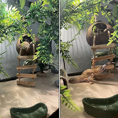 Lizard Coco Den with Ladder,Leopard Gecko Coconut Husk Hut Hideout Home Reptile Hammock Climbing Hanging Plants Decor Habitat Tank Accessories for Bearded Dragon Snake Chameleon - style: 【Style A】