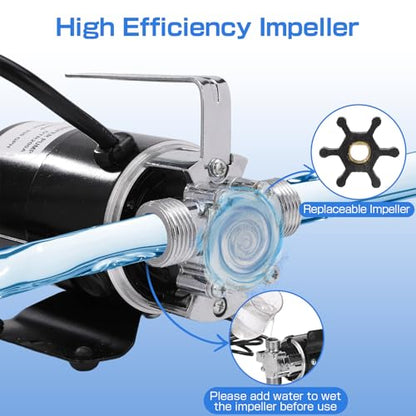 D-Honor Water Transfer Pump 115V 1/10 HP 330 GPH with 6 feet Water Hose Kit