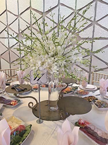 WGV Cylinder Vase, Width 6", Height 20", Clear Glass Container Terrarium Candle Holder for Wedding Centerpiece, Party Event, Home Office Decor, 1 Piece - size: 6"x20"H