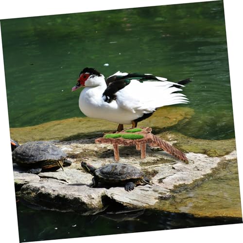 BESPORTBLE Turtle Basking Platform for Reptiles Durable Aquarium Landscape Decoration Multi-Functional Climbing Ramp Easy Access for Turtles and Frogs Water-Resistant Resin Design