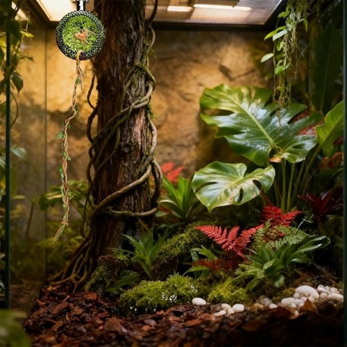 2 Pack Jumping Spider Hide Cave & Climbing Kit, Jumping Spider Accessories, Reptile Hide with Strong Magnet for Jumping Spiders, Tarantulas, Small Reptiles and Amphibians