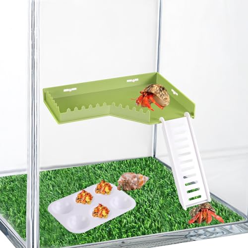 Hermit Crab Accessories - Platform with Ladder and Food Dish Hermit Crab Habitat Accessories Hermit Crab Climbing Toys for Reptiles, Turtles, Hamsters, Small Lizards, Geckos