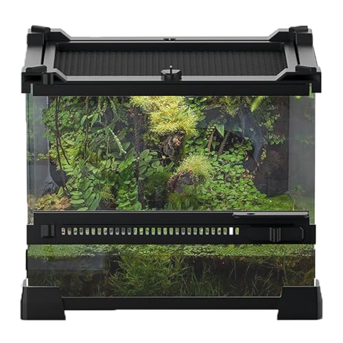 Woyrise Reptile Glass Terrarium Tank 8"x8"x5.7", Front & Top Opening Door Full View Visually Appealing Mini Reptiles or Amphibians Habitat, Stackable Enclousure for Small Reptiles