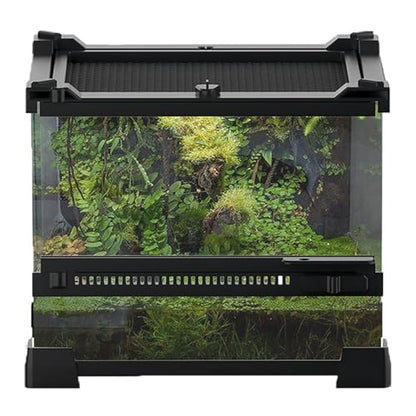 Woyrise Reptile Glass Terrarium Tank 8"x8"x5.7", Front & Top Opening Door Full View Visually Appealing Mini Reptiles or Amphibians Habitat, Stackable Enclousure for Small Reptiles