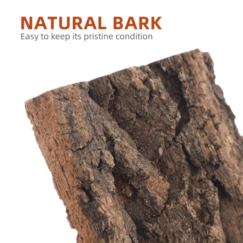 DOITOOL 3 Pcs Natural Cork Bark Aquarium Decor Reptile Tank Background Indoor Terrarium Decoration