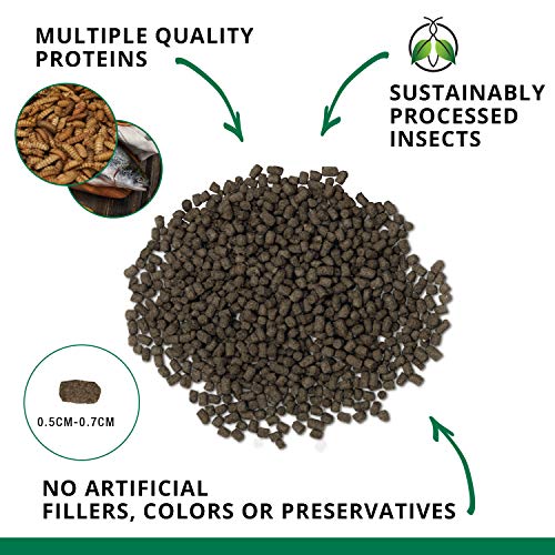 Fluval Bug Bites Turtle Food, 1.5 oz, Brown | Pellets for Small to Medium Sized Turtles, A6592 - size: 1.5 Ounce (Pack of 1)