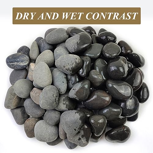 FANTIAN 20 lbs Black Rocks for Landscaping, 2-3 Inch Pebbles for Plant | Decorative Stones Black River Rocks for Outdoor Landscaping, Garden, Paving, Aquarium, Fountain, Walkways - color: Black, size: 20 lbs, 2-3 Inch
