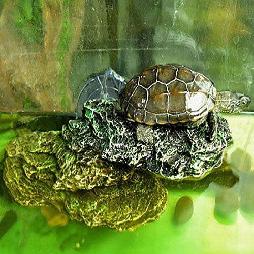 Turtle Basking Platform Reptile Climbing Shale Resin Step Ledge Stone Aquarium Ornament Rock Landscaping Decoration with Suction Cups for Frogs Newts Amphibians Lizard (Medium:8.2”Lx3.3”Wx3.1”H) - size: 8.2”Lx3.3”Wx3.1”H