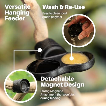 Pangea Microdish Kit for Micro Gecko Feeding, Water Bowl for Tiny Reptiles | Zip Ties Included 1.25in x .75in - size: XS Dual Branch Mount