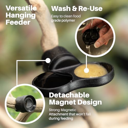 Pangea Microdish Kit for Micro Gecko Feeding, Water Bowl for Tiny Reptiles | Zip Ties Included 1.25in x .75in - size: XS Dual Branch Mount