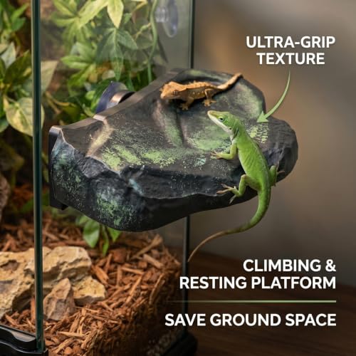 Magnetic Reptile Ledge, Large Magnetic Rock for Geckos, Tree Frogs & Lizards, Climbing Resting Decor, Green, 15.5x9.7x5.4 cm