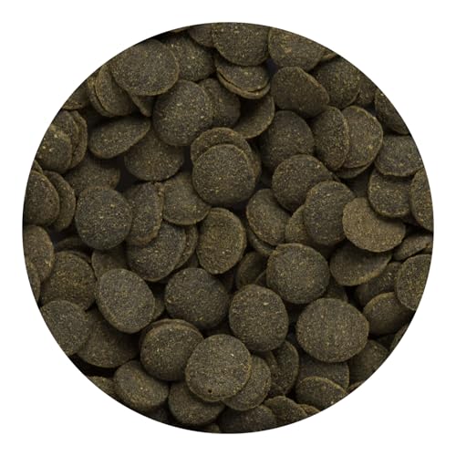 Hikari Tropical Mini Algae Wafers Fish Food, 3.0 oz (85g) - size: 3 Ounce (Pack of 1)