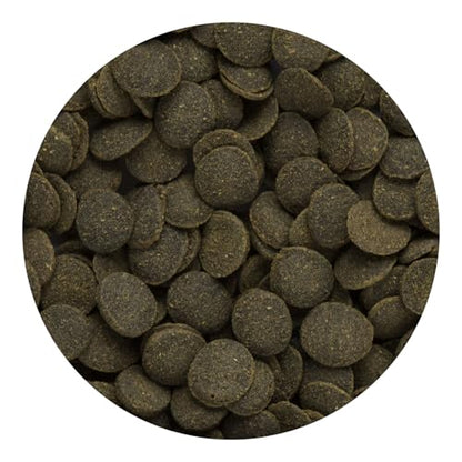 Hikari Tropical Mini Algae Wafers Fish Food, 3.0 oz (85g) - size: 3 Ounce (Pack of 1)