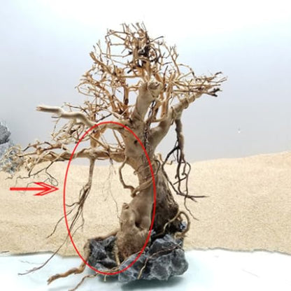 Natural Driftwood Root Trunk Tree Aquarium Decor, 10-30 CM | Randomly Bundled, Fish Tanks, Terrariums, Aquascaping & Planted Tanks