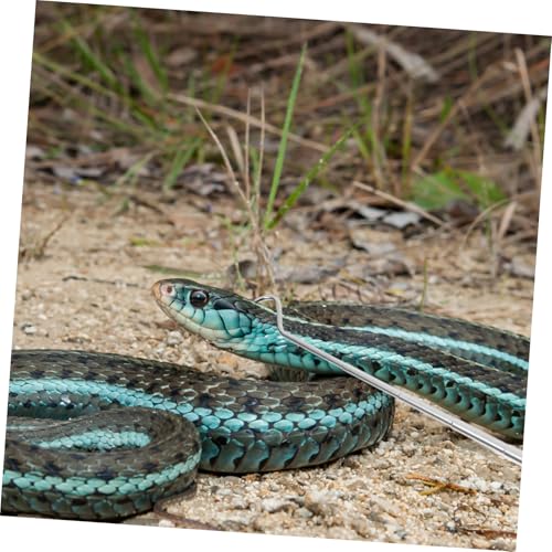 BESPORTBLE Retractable Reptile Hook Stainless Steel Snake Catcher for Safe Handling of Snakes and Reptiles Extends for Maximum Reach and Grip