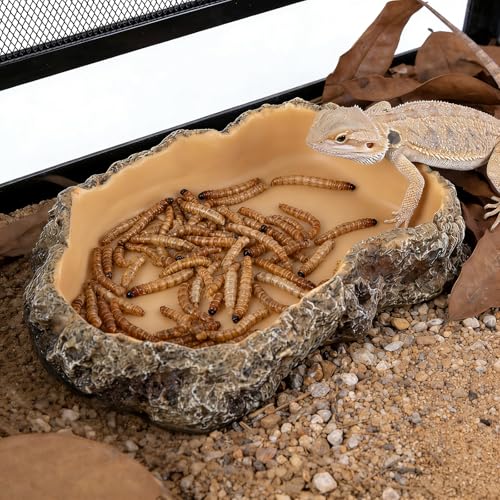 Reptile Food Dish, Terrarium Water Bowl, Feeding Bowl for Reptile Amphibian Pets - size: X-Small