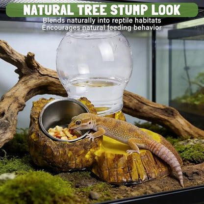 Reptile Food & Water Feeder, Escape Proof Feeding Bowl with Removable Stainless Steel Dish for Mealworms
