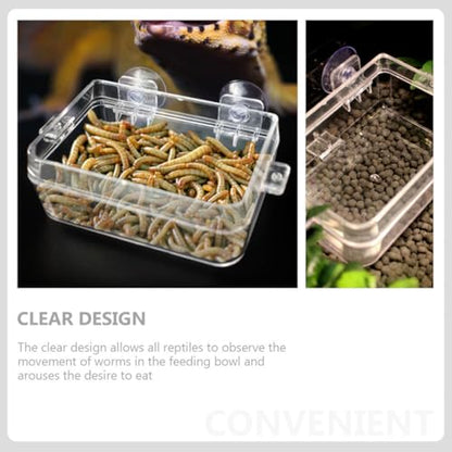 Large Transparent Lizard Feeding Bowl with Suction Cup Wall-Mounted Reptile Feeder Dish for Insect and Water Feeding Smooth Rounded Edges Space-Saving Design for Terrariums
