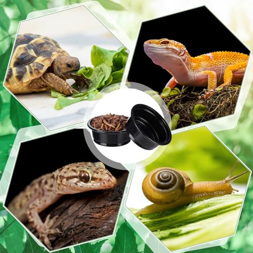 500 Pcs 0.5 oz Gecko Feeding Cups Small Gecko Food and Water Cups Reptile Feeding Bowls Plastic Bearded Dragon Food Bowl for Lizard Small Pet Ledge Accessories (Black) - color: Black