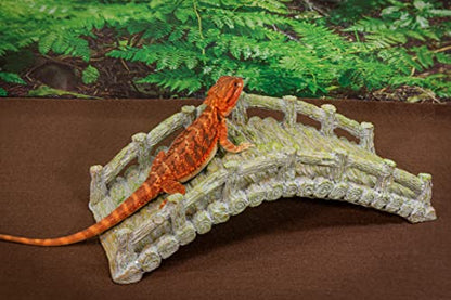 Reptile Bridge, Driftwood Gray, Reptile Habitat Accessory