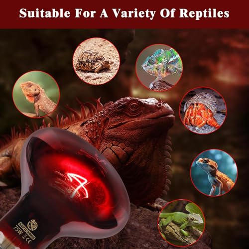 Reptile Heat Lamp,75W Red Basking Spot Lamp Bulb for Chickens Amphibians, Infrared Heat Emitter Light for Coop - size: Infrared 75W 1 Pack