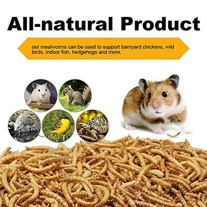 1lbs Dried Mealworms for Chickens Duck High Protein Birds Treat | Worms Raised on a Clean Natural Diet, Hand Inspected Animal Feed Snacks for Turtles, Fish, Hamsters, Hedgehogs, Reptiles - size: 1 Pound (Pack of 1), style: Mealworms